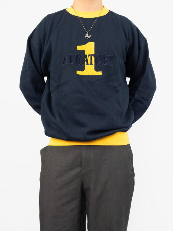 moletom aleatory vintage