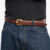 cinto classic gold